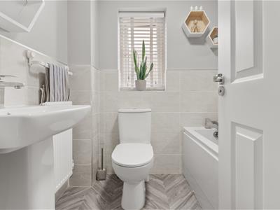 Picture 18